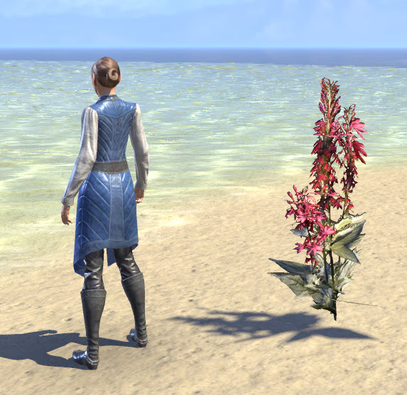 ESO Fashion Plant, Cardinal Flower (Elder Scrolls Online)