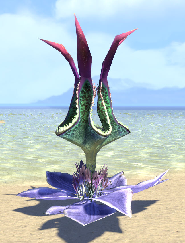 ESO Fashion Plant, Large Inert Lantern Flower (Elder Scrolls Online)