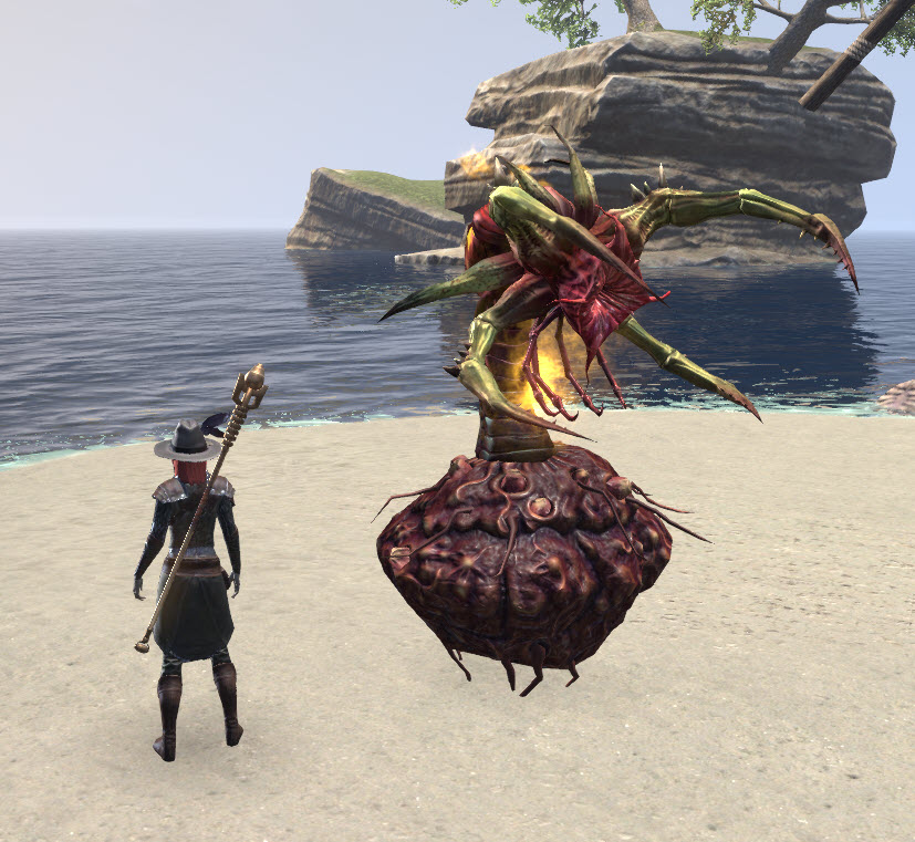 ESO Fashion Timid (Elder Scrolls Online)