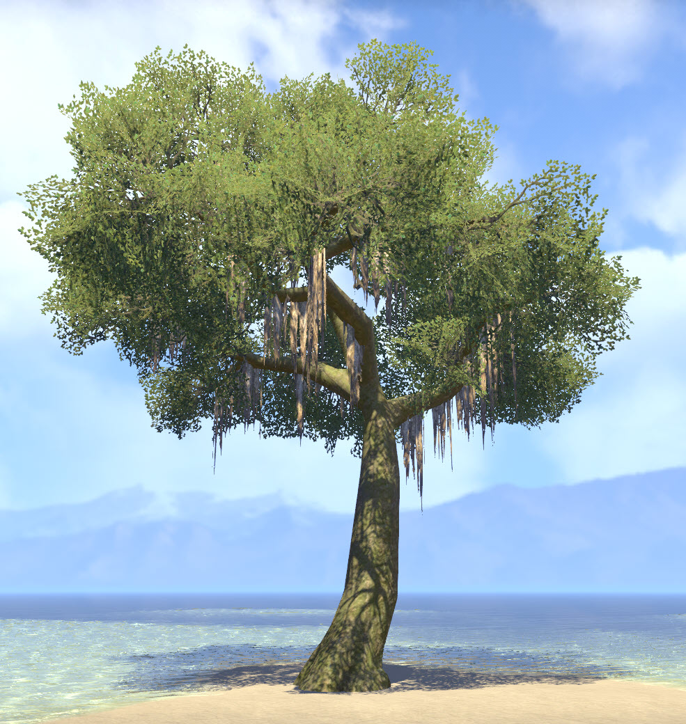 ESO Fashion Tree, Mossy Sycamore (Elder Scrolls Online)