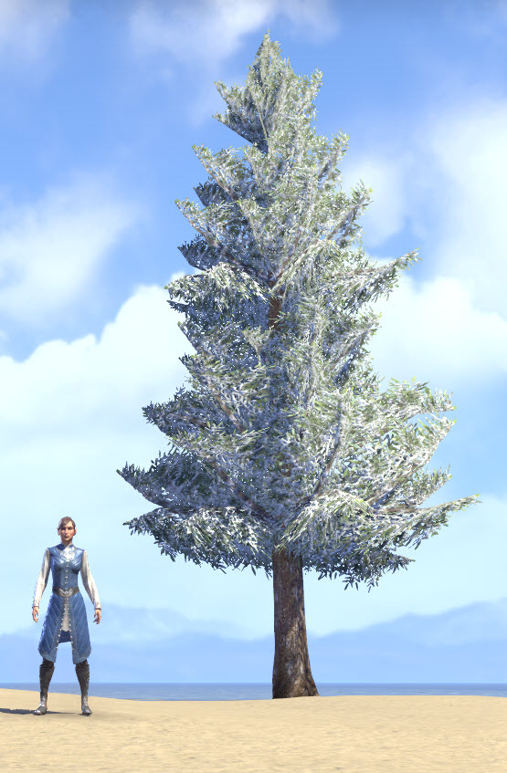 ESO Fashion Tree, Towering Snowy Fir (Elder Scrolls Online)