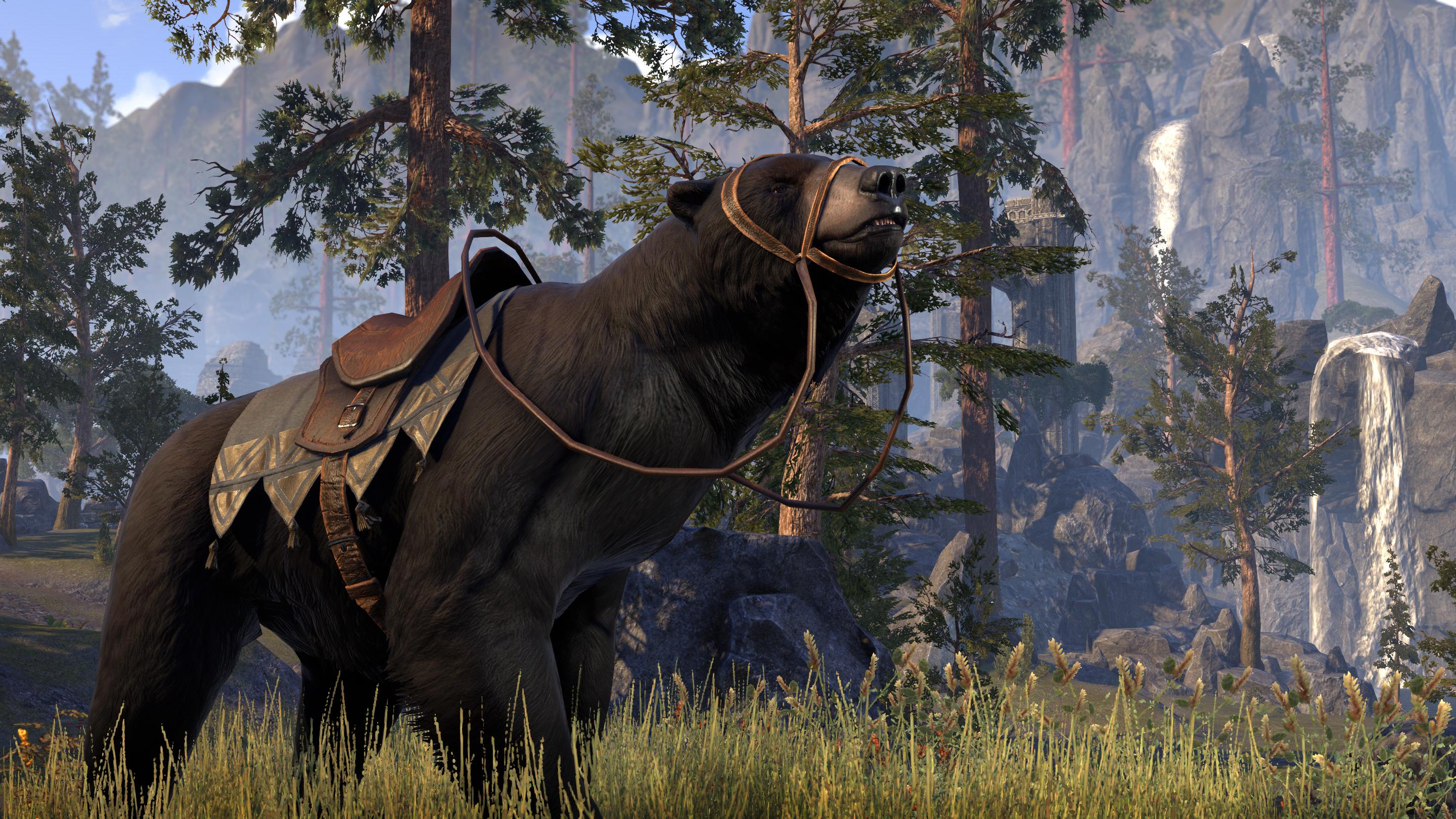 eso bear set bonus