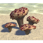 Toadstool, Bloodtooth Cluster