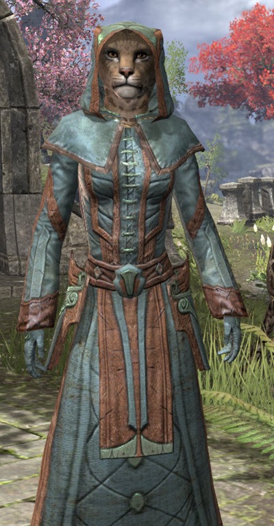 This costume replicates the mages guild formal robes. 