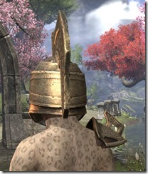 ESO Fashion | Sentinel of Rkugamz (Elder Scrolls Online)