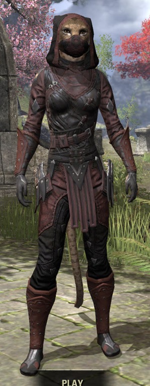 Eso Fashion Shrouded Armor Elder Scrolls Online