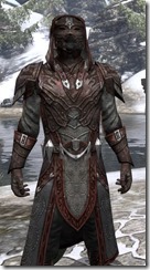 Worm Cult - Argonian Male Robe Close Front