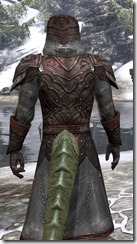 Worm Cult - Argonian Male Robe Close Rear