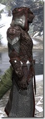 Worm Cult - Argonian Male Robe Close Side