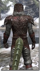 Worm Cult - Argonian Male Shirt Close Rear
