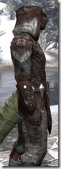 Worm Cult - Argonian Male Shirt Close Side