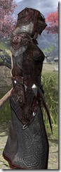 Worm Cult - Khajiit Female Robe Close Side
