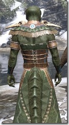 Xanmeer Doyen's Worship Robe - Argonian Male Close Rear
