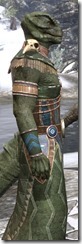 Xanmeer Doyen's Worship Robe - Argonian Male Close Side