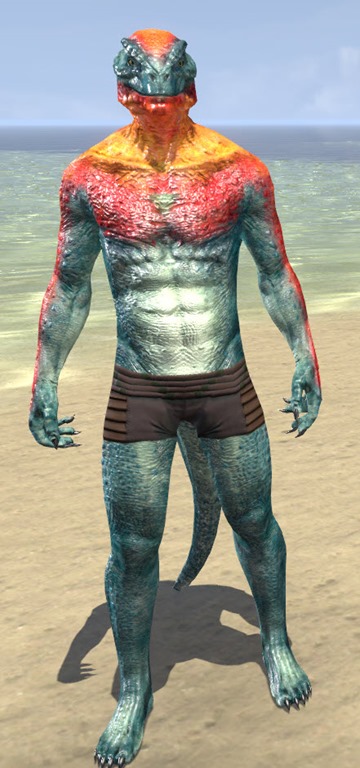 Bright-Throat-Scale-Argonian-Male-Front.jpg