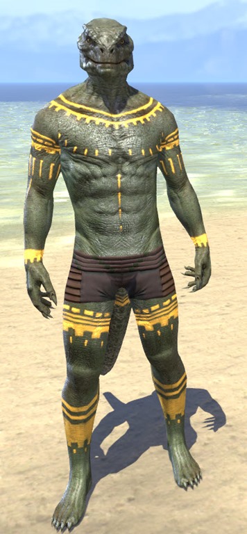 Bright-Throat-Yolk-Body-Tattoo-Argonian-Male-Front.jpg