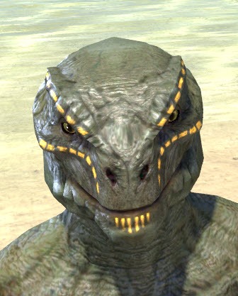 Bright-Throat-Yolk-Face-Tattoo-Argonian-Male-Front.jpg