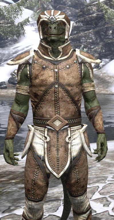 ESO Fashion | High Elf Rawhide (Elder Scrolls Online)