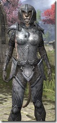 High Elf Steel - Khajiit Female Close Front