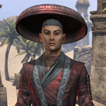 Honor Guard Ancestor Silk