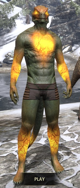 Meridian-Purified-Argonian-Male-Front.jpg