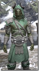 Minotaur Homespun - Argonian Male Robe Close Front