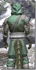 Minotaur Homespun - Argonian Male Robe Close Rear