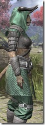 Minotaur Homespun - Khajiit Female Robe Close Side