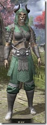 Minotaur Homespun - Khajiit Female Robe Front