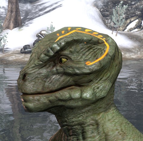 Meridian-Sunburst-Face-Tattoos-Argonian-Male-Side.jpg