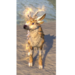 Shimmering Indrik