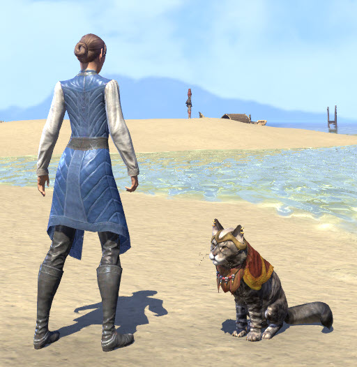 ESO Fashion Ezabi the Banker (Elder Scrolls Online)