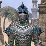 Elder Dragon Hunter Armor Pack