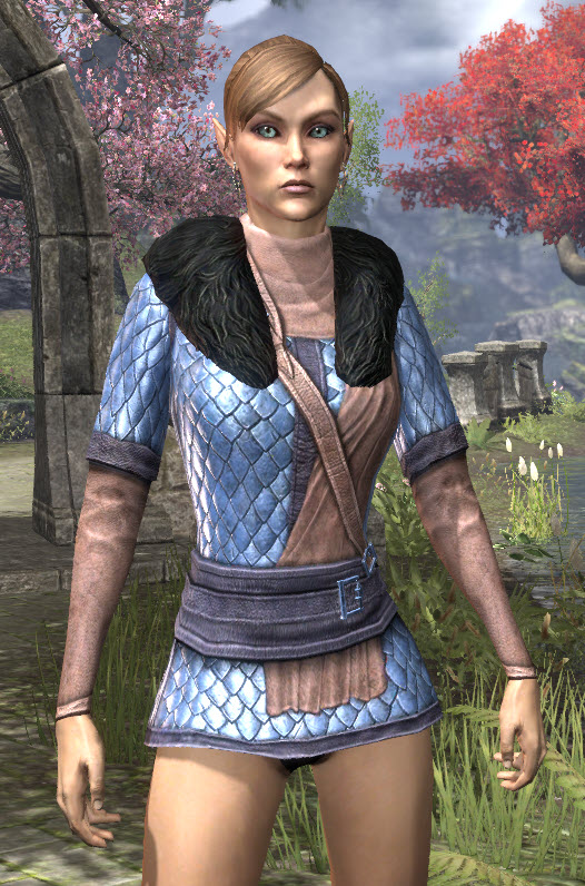 eso windhelm safebox eso windhelm safebox