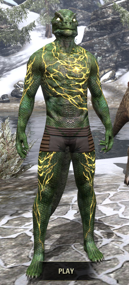 Mireheart-Scale-Argonian-Male-Front.jpg