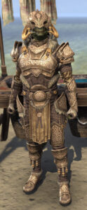 ESO Fashion Sovngarde Stalwart (Elder Scrolls Online)
