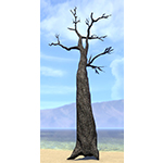 Tree, Charred Slim Vvardenfell Pine