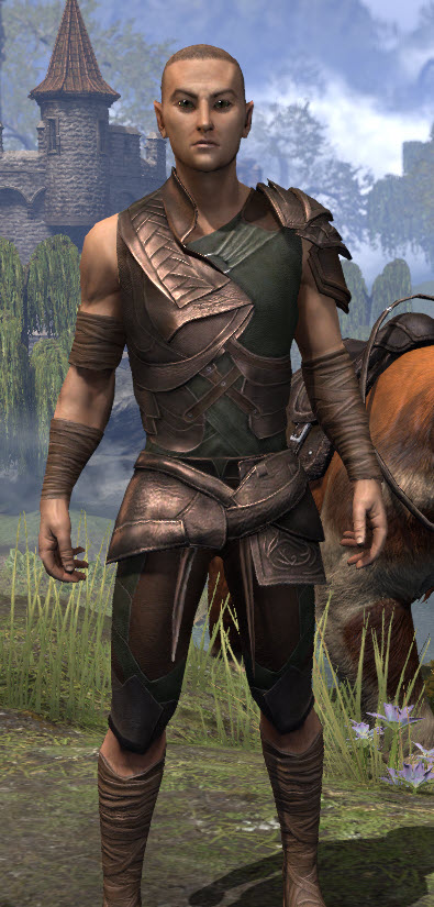 ESO Fashion | Eveli's Adventuring Leathers (Elder Scrolls Online)