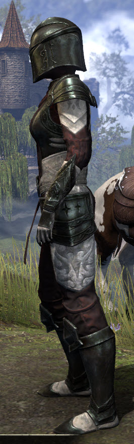ESO Fashion | Silver Rose Vigil (Elder Scrolls Online)