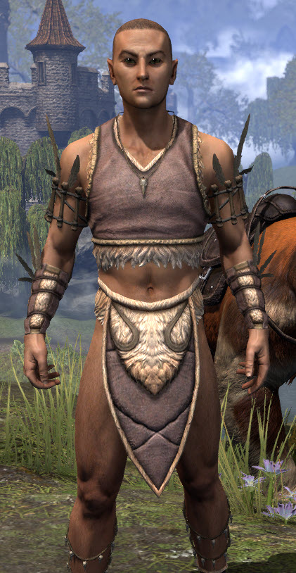 ESO Fashion | Timbercrow Wanderer (Elder Scrolls Online)