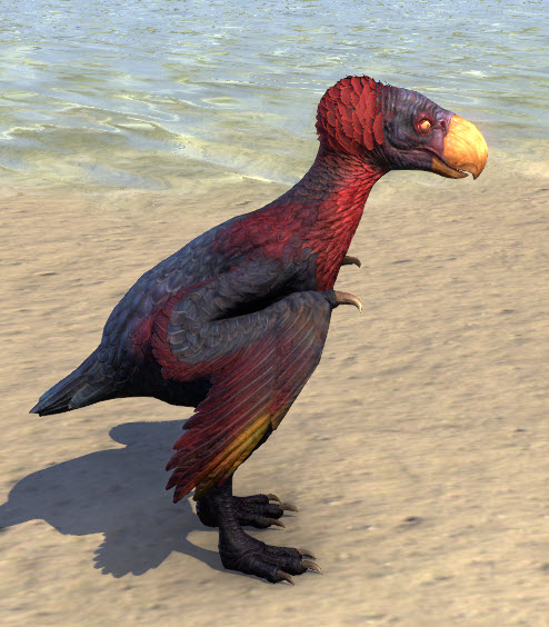 Eso Fashion Ruby Fledgling Terror Bird Elder Scrolls Online 1016