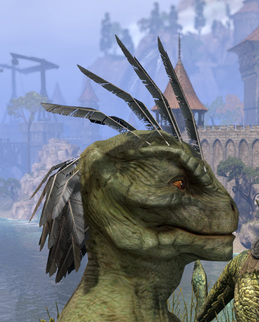 ESO Fashion Draping Locks (Elder Scrolls Online)