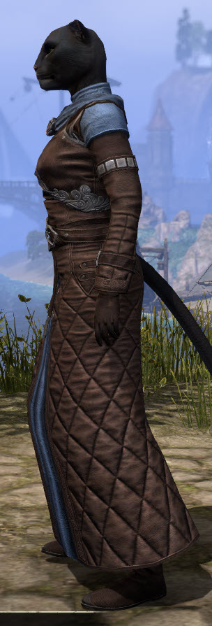 ESO Fashion Courtly Traveling Attire (Elder Scrolls Online)