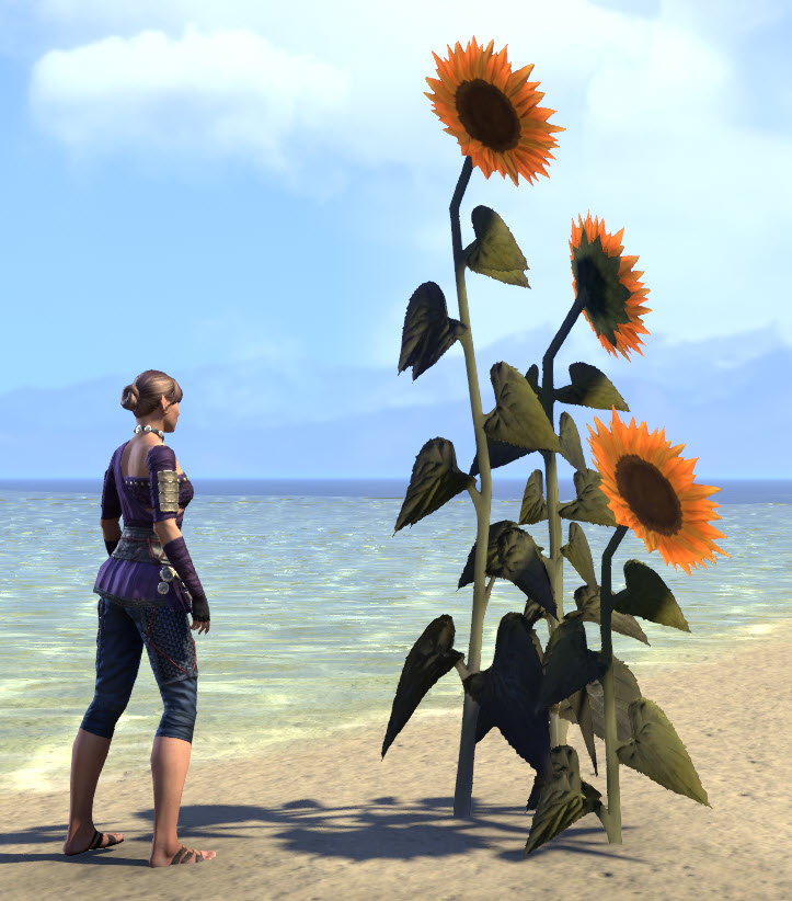 ESO Fashion Flowers, Sunflower Cluster (Elder Scrolls Online)