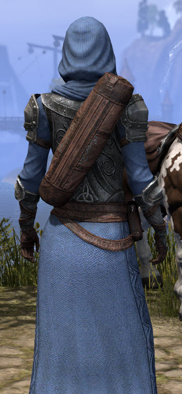 ESO Fashion High Rock Spellsword Elder Scrolls Online   High Rock Spellsword Female Robe Close Rear 